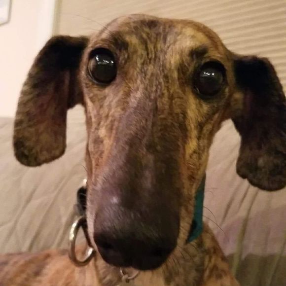 Meet your Posher, Jn - Picture 1 of 1